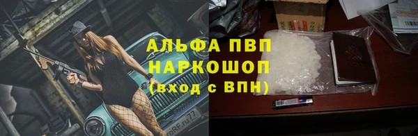 PSILOCYBIN Сатка