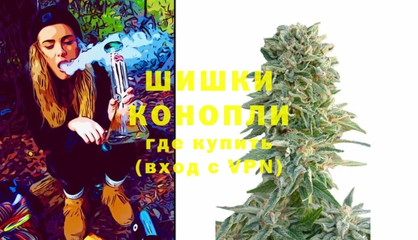 ПСИЛОЦИБИНОВЫЕ ГРИБЫ Баксан