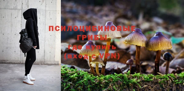 бошки Балахна