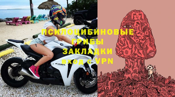 ALPHA PVP Армянск